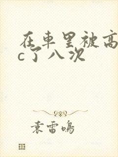 在车里被高潮被c了八次