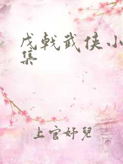 戊戟武侠小说全集