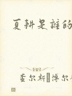 夏耕是谁的女婿