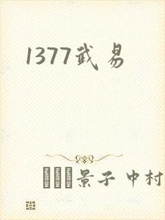 1377武易