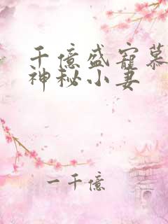 千亿盛宠慕少的神秘小妻