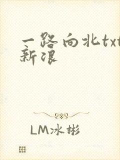 一路向北txt新浪