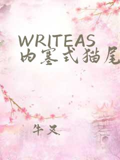 WRITEAS内塞式猫尾