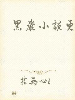 黑岩小说更新吧