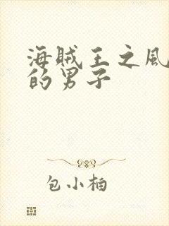 海贼王之风一样的男子