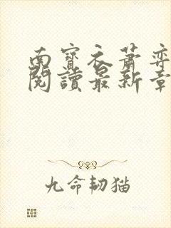 南宝衣萧弈免费阅读最新章节