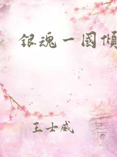 银魂一国倾城篇