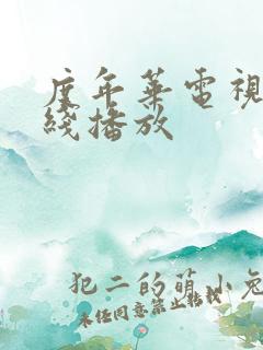 度年华电视剧在线播放