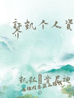 许凯个人资料简介