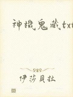 神机鬼藏txt