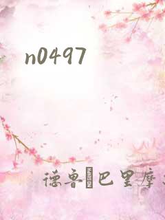n0497