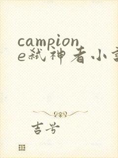 campione弑神者小说