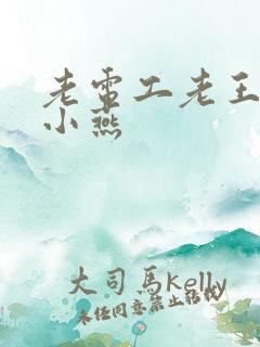 老电工老王和李小燕