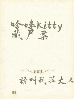 哈喽kitty藏尸案