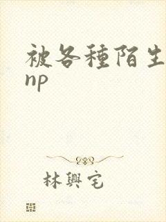 被各种陌生人 np