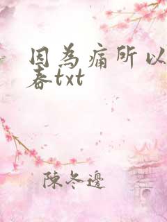 因为痛所以叫青春txt