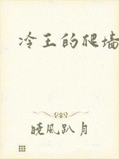冷王的爬墙丑妃