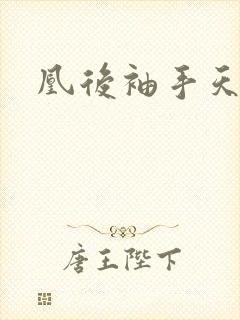 凰后袖手天下