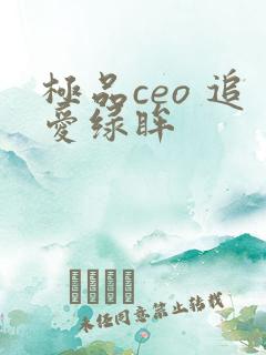 极品ceo 追爱绿眸
