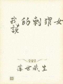 我的刺猬女孩小说