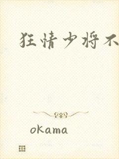 狂情少将不良妻