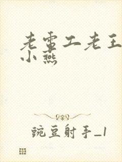 老电工老王和李小燕