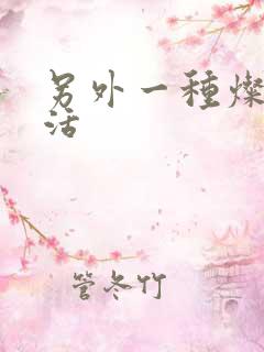 另外一种灿烂生活