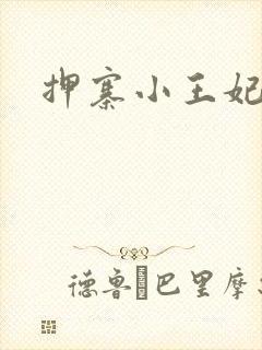 押寨小王妃