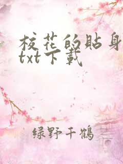 校花的贴身保镖txt下载