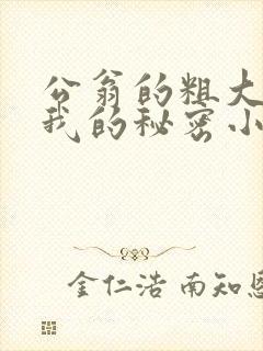 公翁的粗大放进我的秘密小说