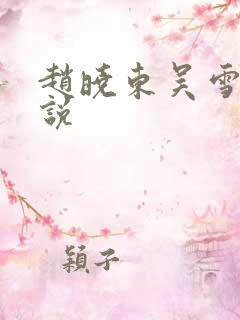 赵晓东吴雪晴小说