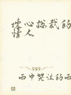 坏心总裁的女佣情人