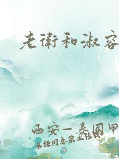 老卫和淑容小说