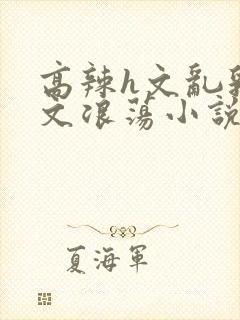 高辣h文乱乳h文浪荡小说txt