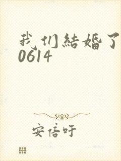 我们结婚了130614