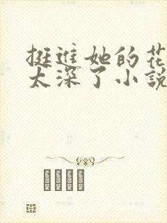 挺进她的花苞啊太深了小说