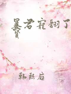 暴君宠翻了小娇宝