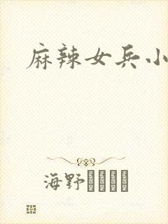 麻辣女兵小说版