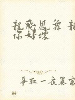 龙飞凤舞 龙王你好坏