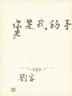 你是我的手冢国光