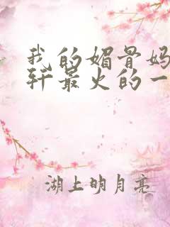 我的媚骨妈妈林轩最火的一句