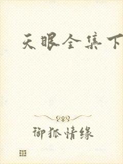 天眼全集下载