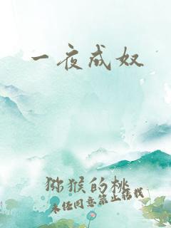 一夜成奴