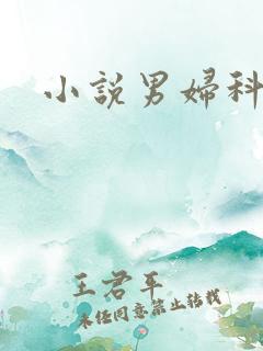 小说男妇科医生