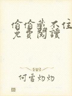 偷偷藏不住小说免费阅读