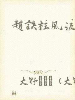 赵铁柱风流小说