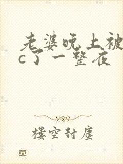 老婆晚上被躁狂c了一整夜