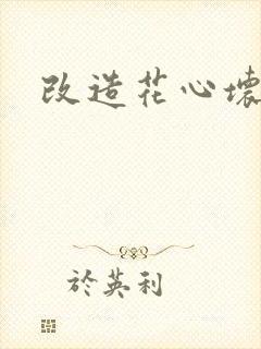 改造花心坏相公