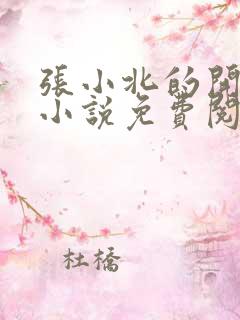 张小北的开光师小说免费阅读怎么没有276章