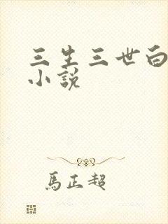 三生三世白暮泪小说